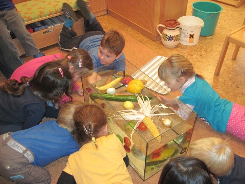 Jahresprojekt â€žWasserâ€œ: Kinder beobachten, welches Obst oder Gemüse im Wasser schwimmt und welches untergeht. 